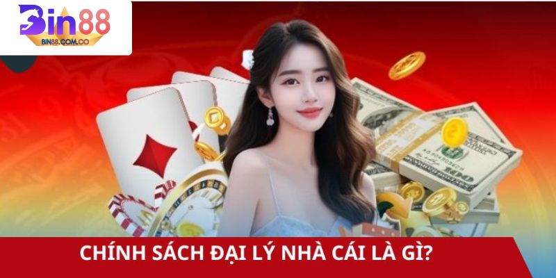 Chính sách đại lý là gì