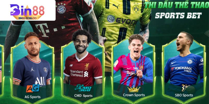 Bộ môn cá cược bóng đá thể thao đang hot