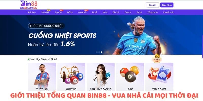 Sự kiện vua nhà cái Bin88